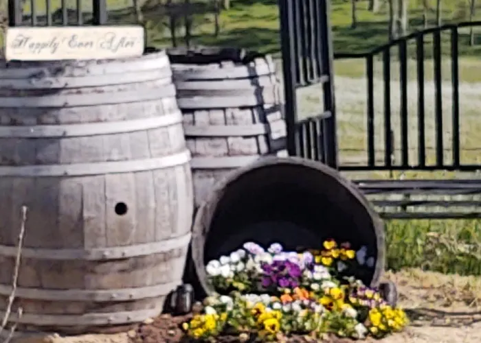 The Branded Calf Bed & Breakfast