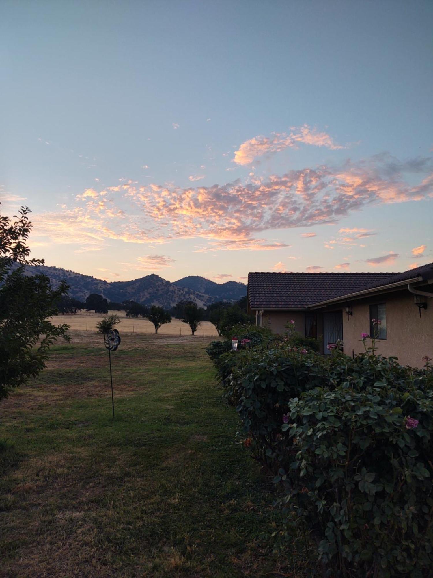 Bed & Breakfast The Branded Calf 3*