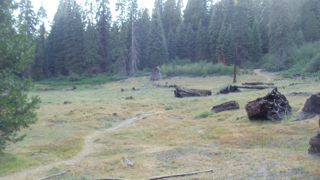 The Branded Calf Yokuts Valley (Squaw Valley)